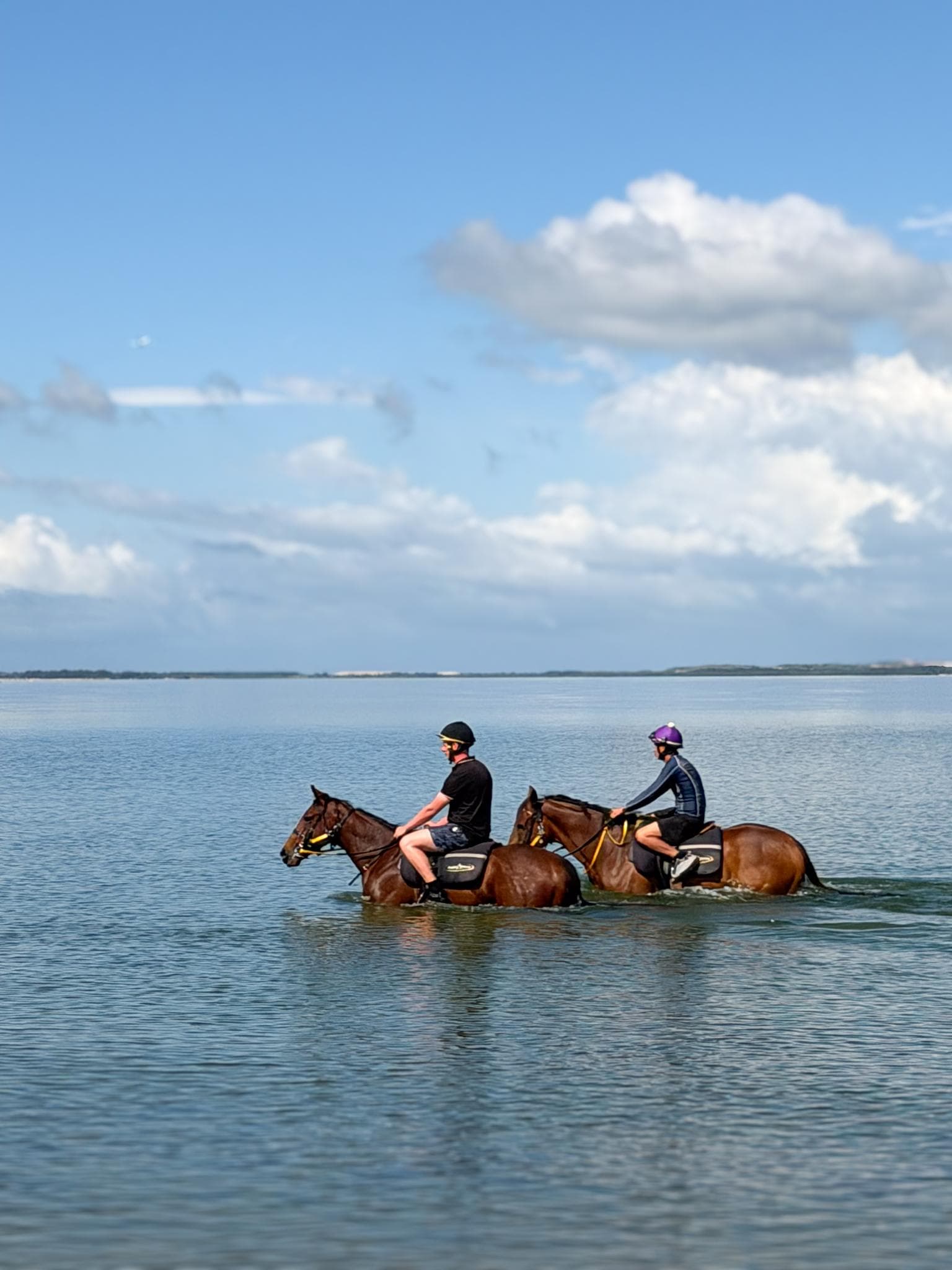 Picture of the author