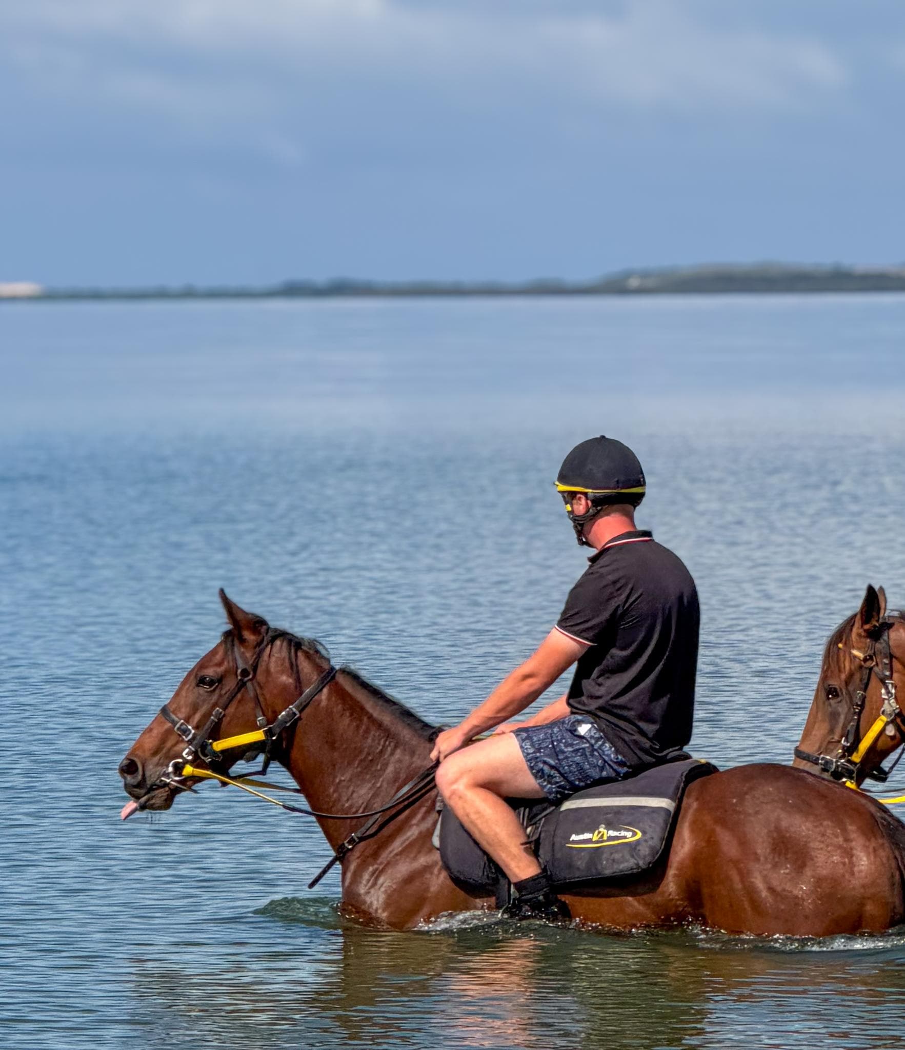 Picture of the author