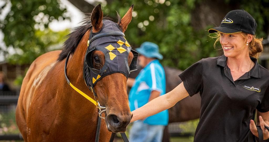 Picture of the author