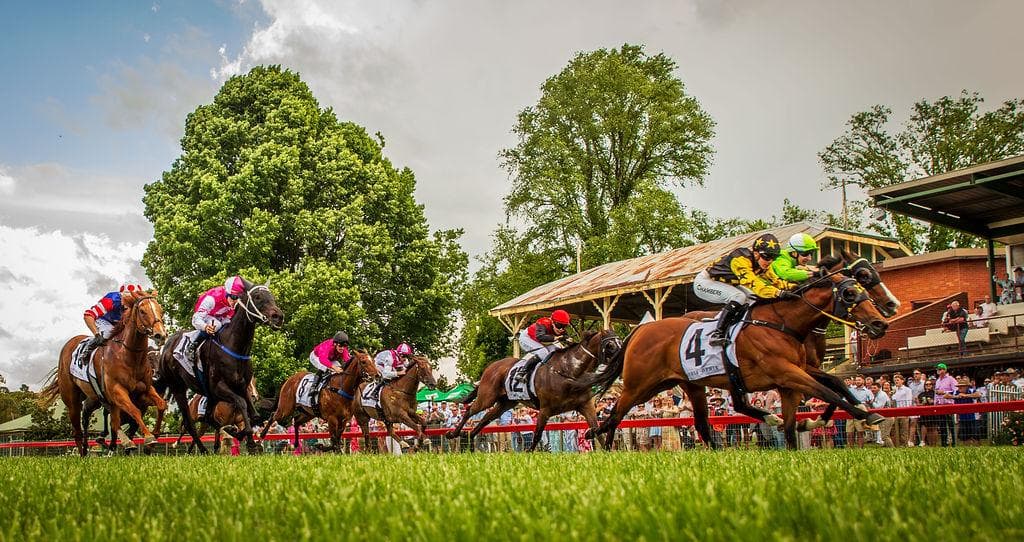 Picture of the author