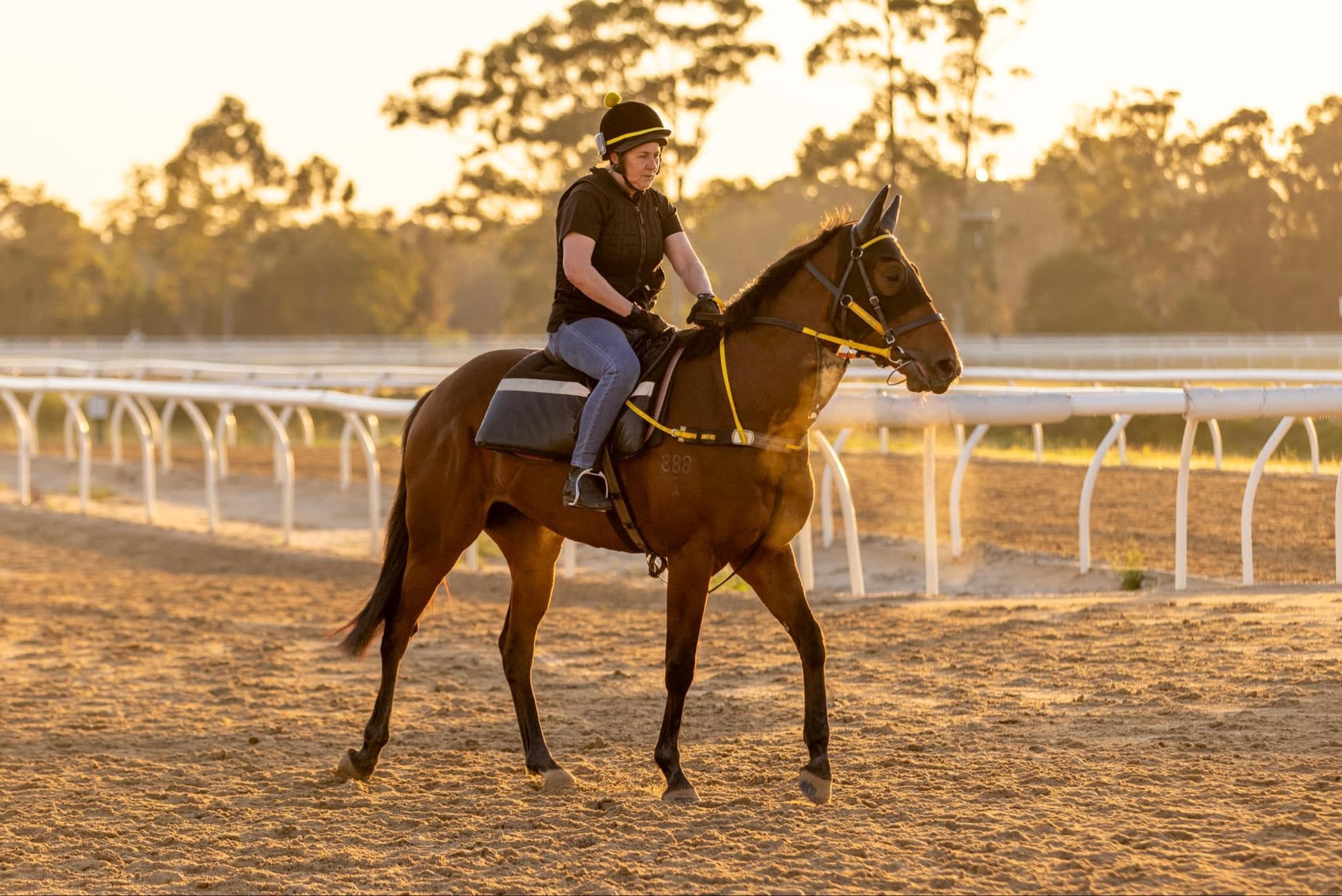 Picture of the author