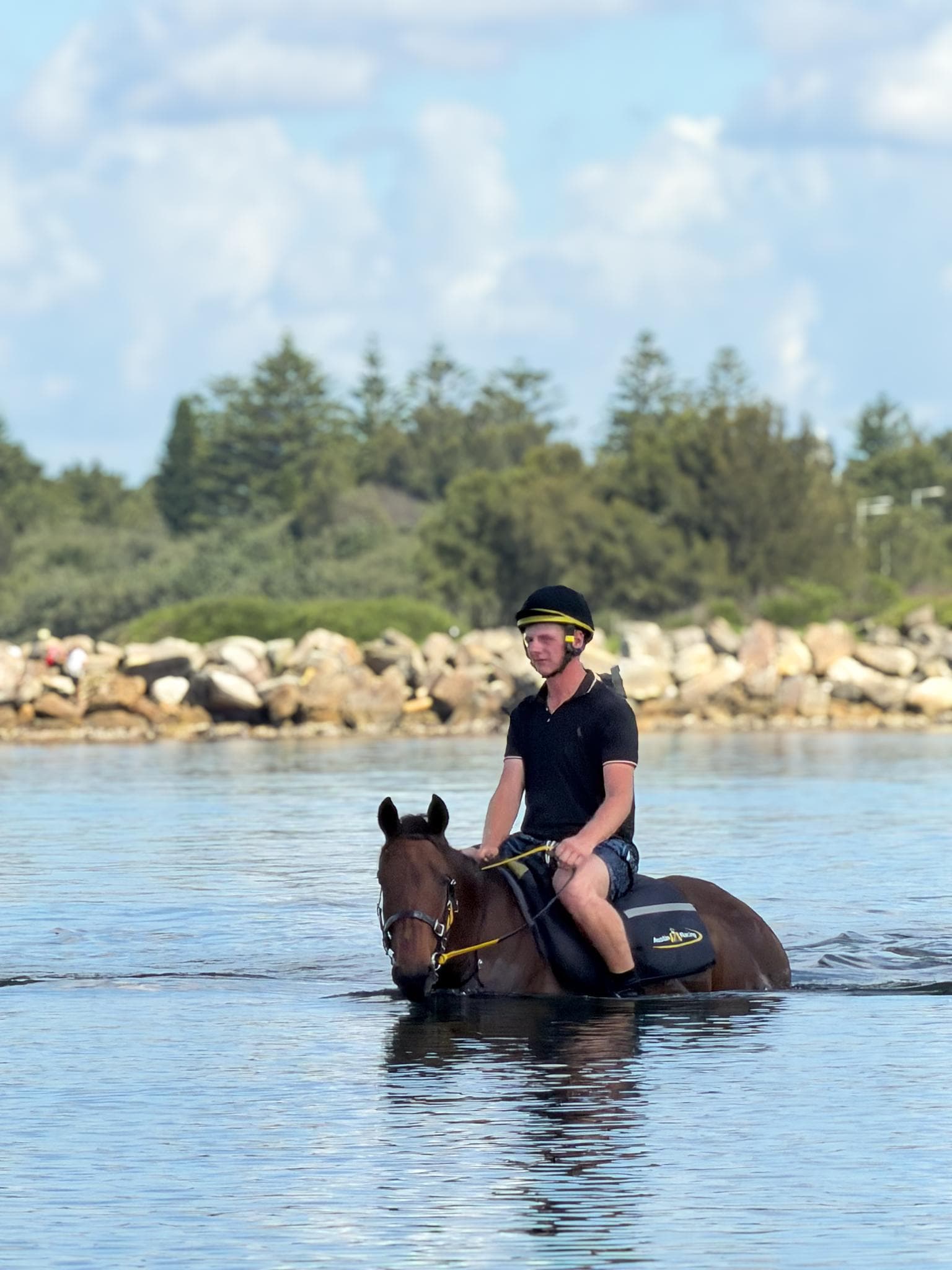 Picture of the author