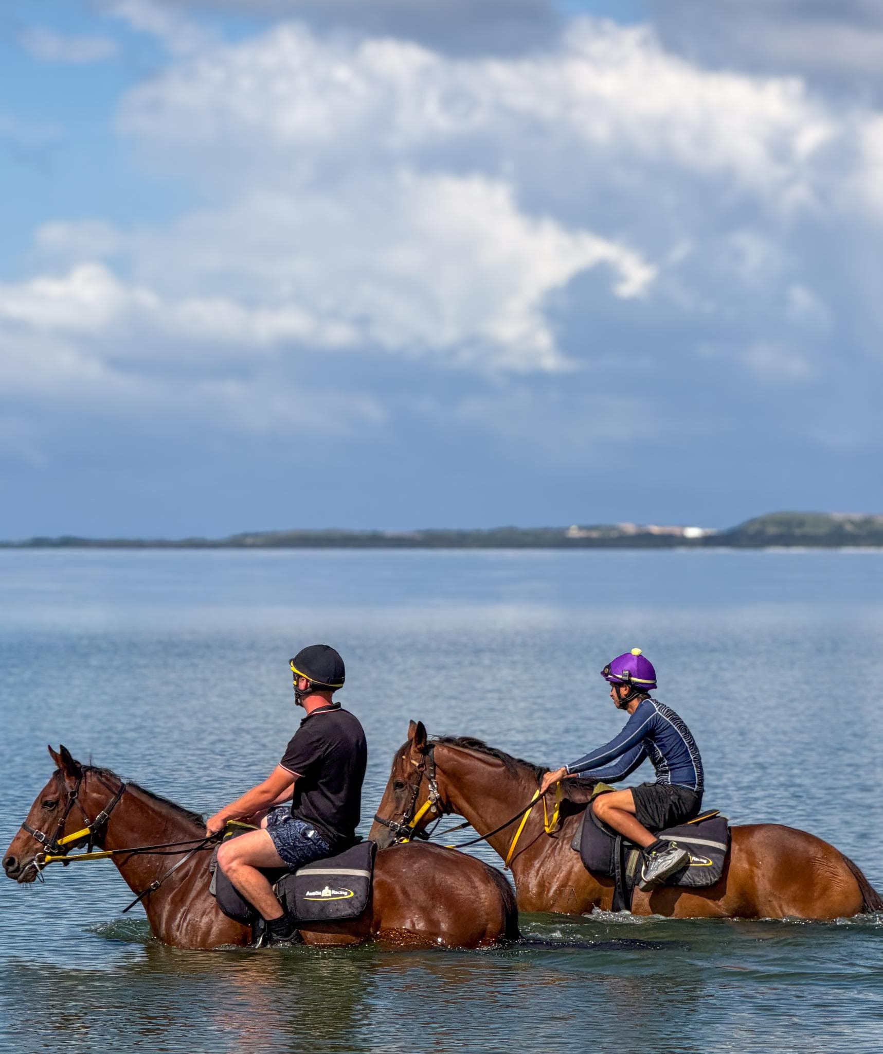 Picture of the author