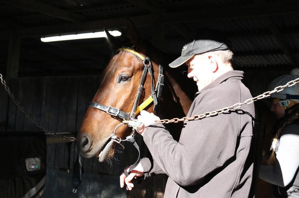 Picture of the author