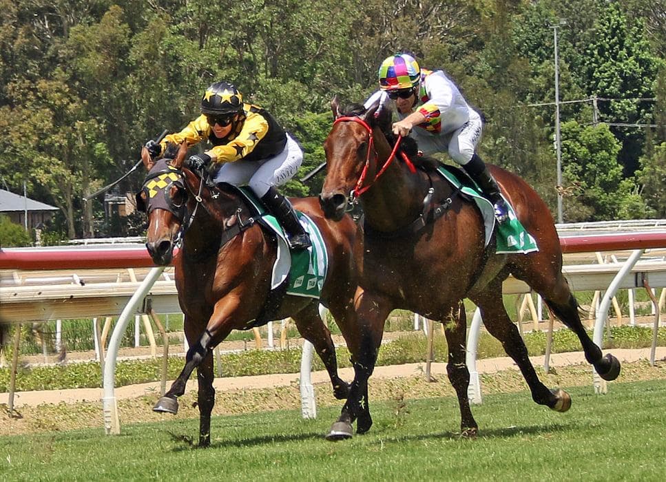 Picture of the author