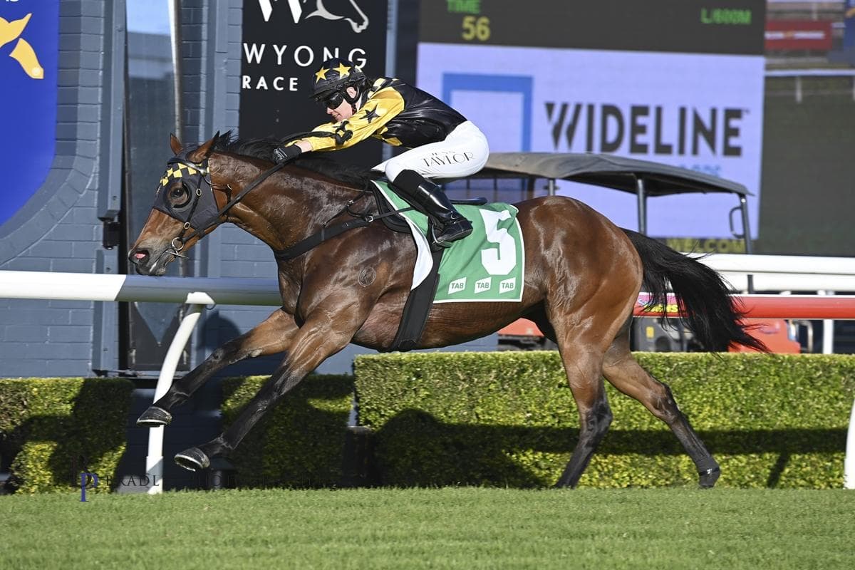 Picture of the author