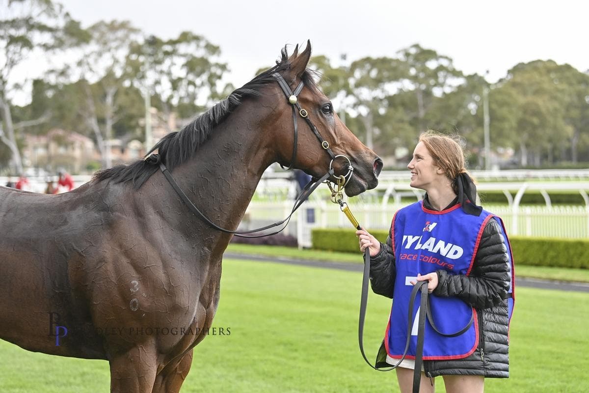 Picture of the author