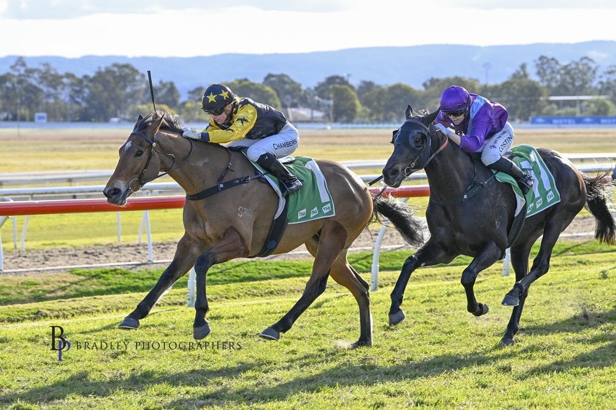 Picture of the author