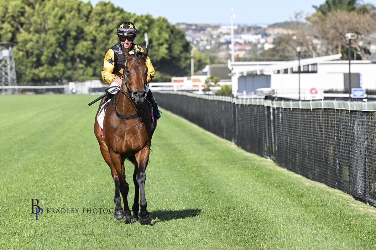 Picture of the author