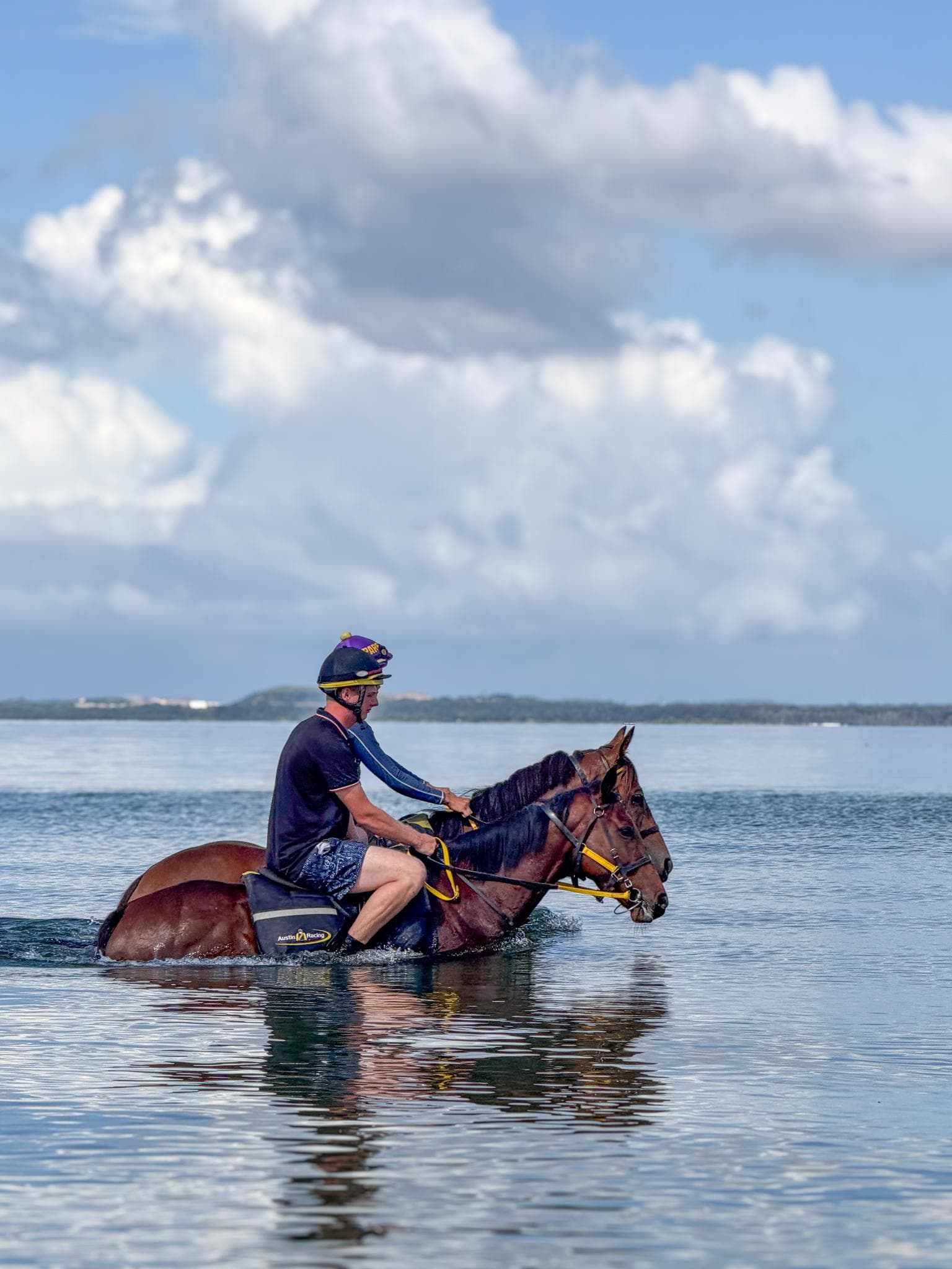 Picture of the author