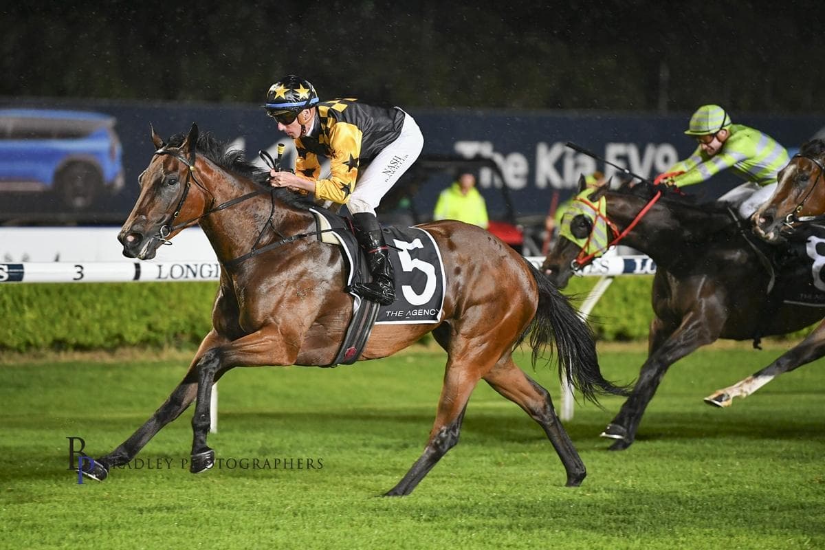 Picture of the author