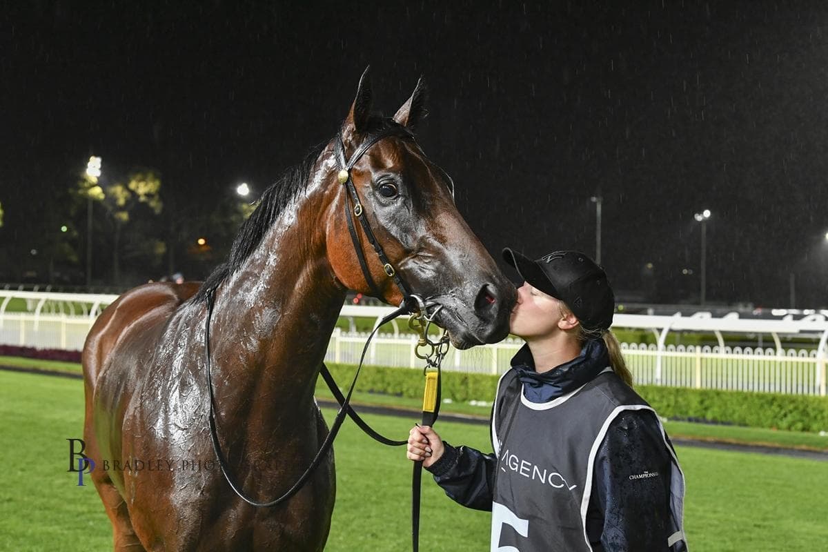 Picture of the author