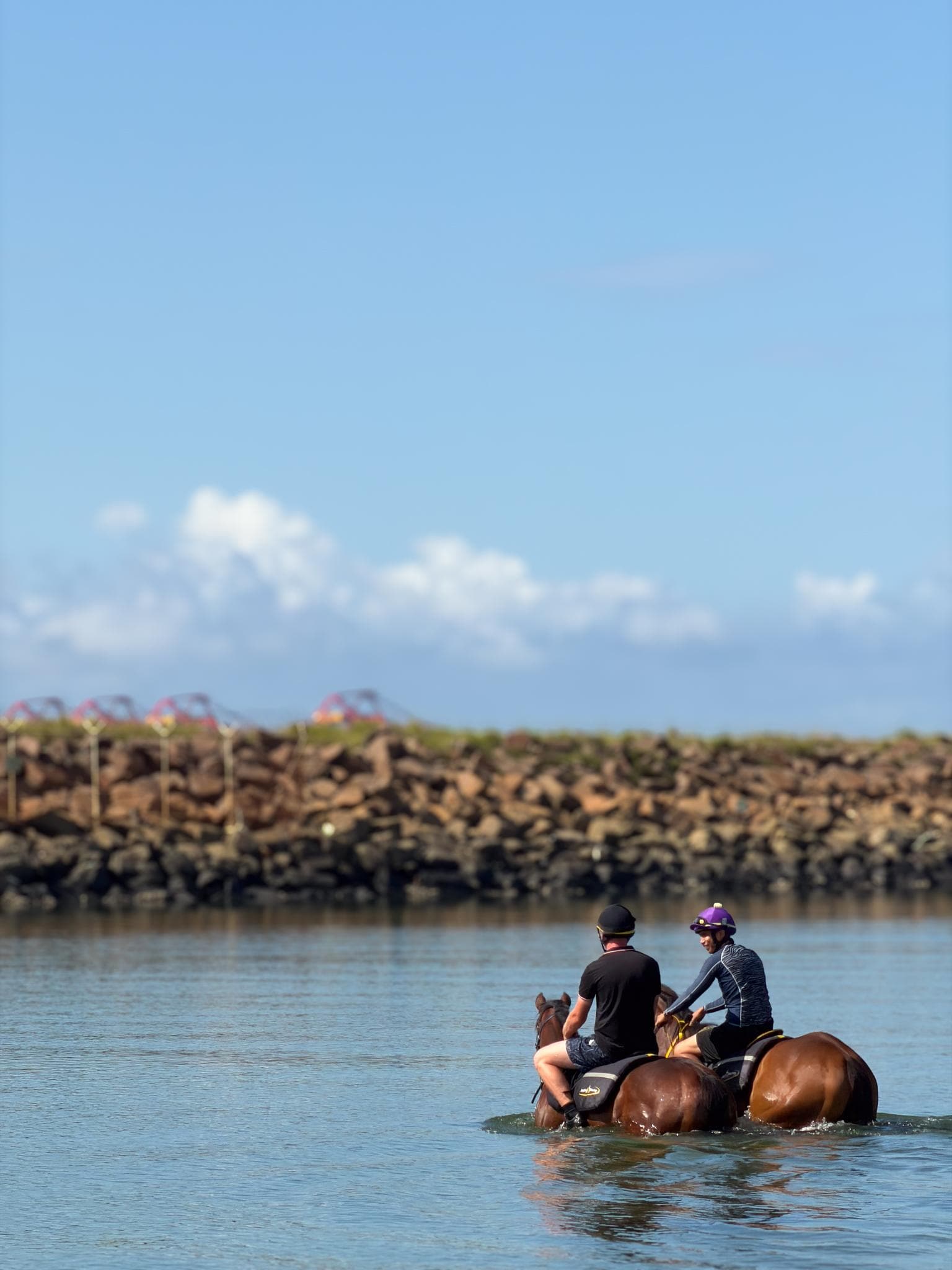 Picture of the author