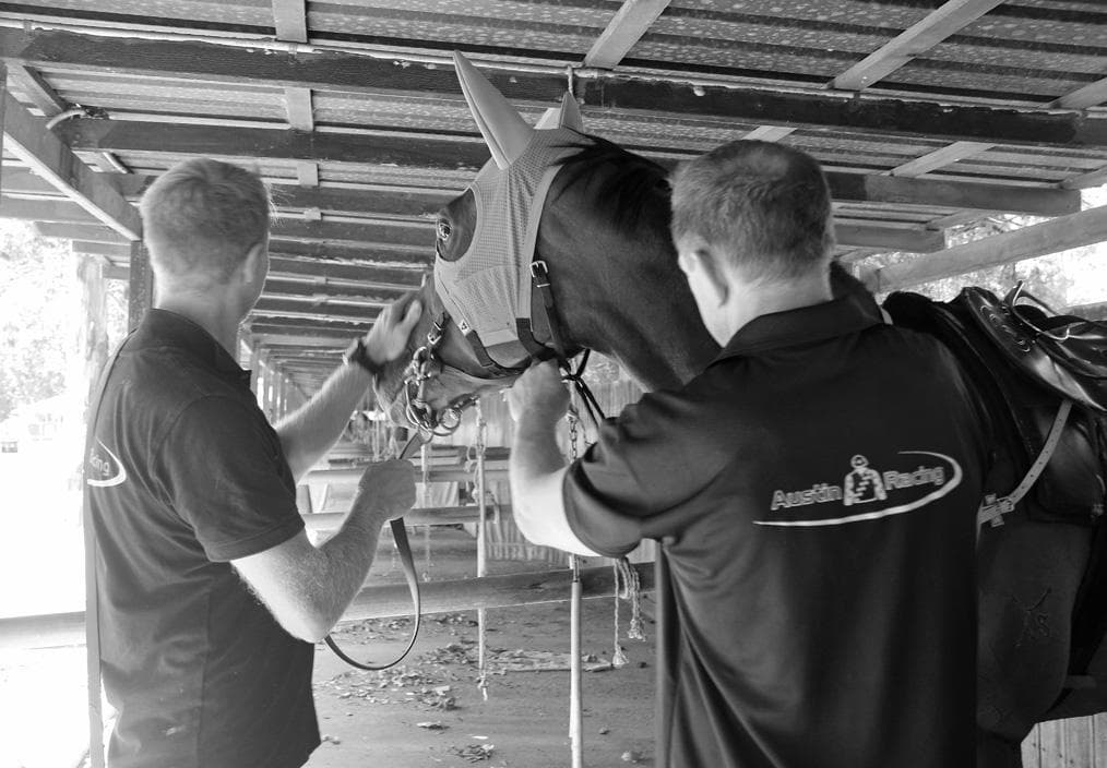 Picture of the author