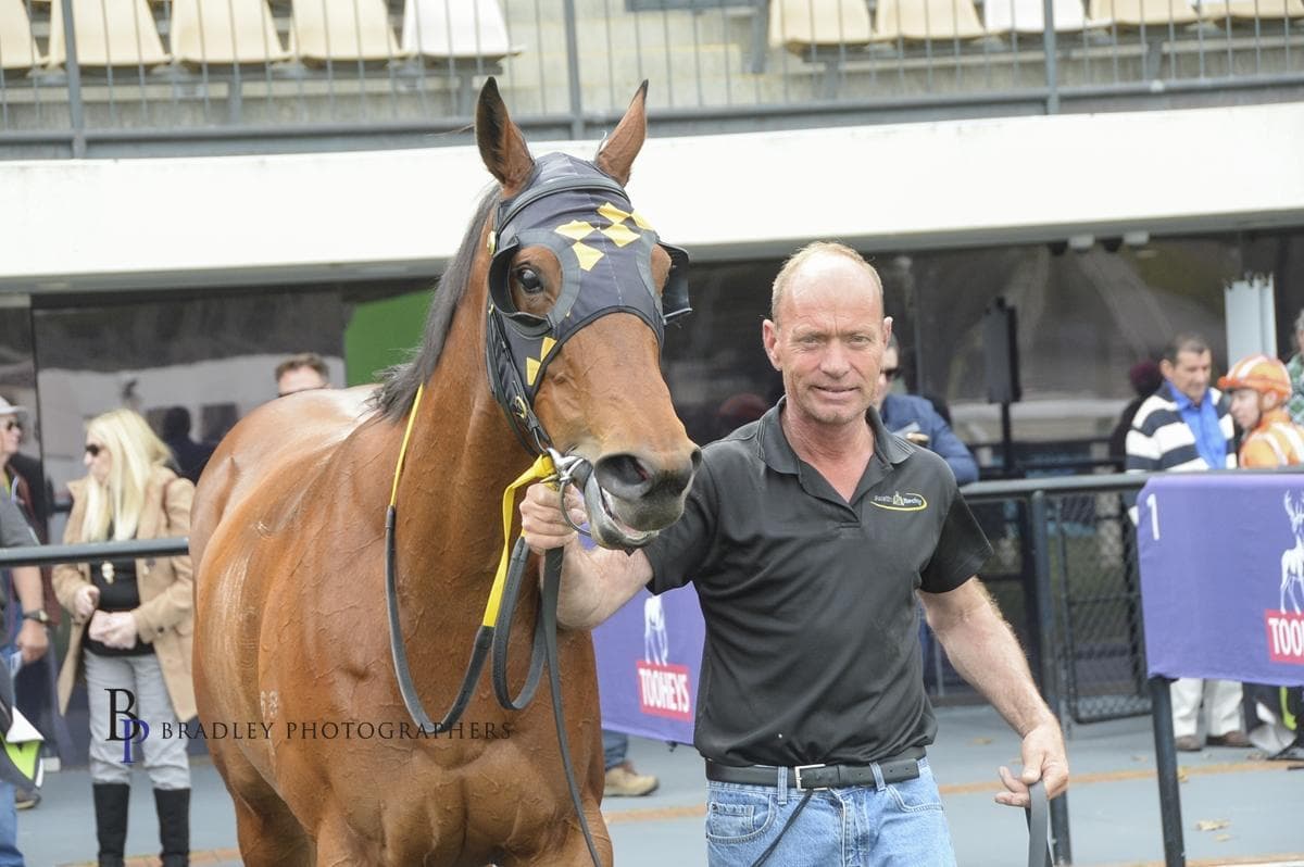 Picture of the author