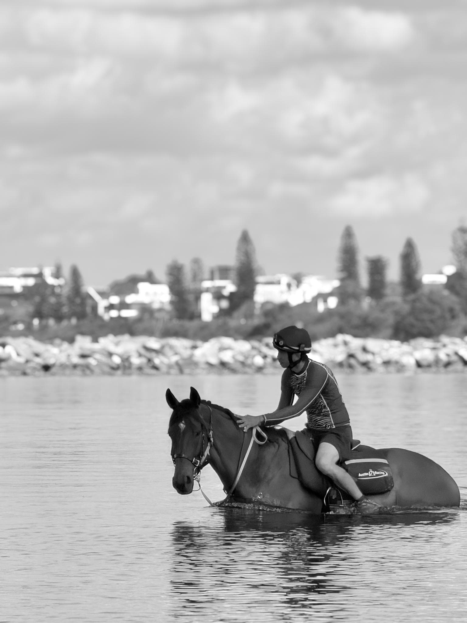 Picture of the author