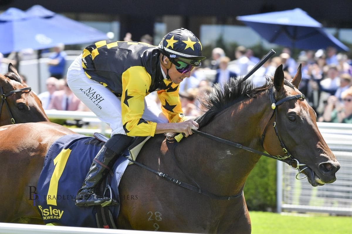 Picture of the author