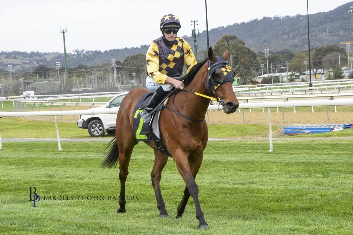 Picture of the author