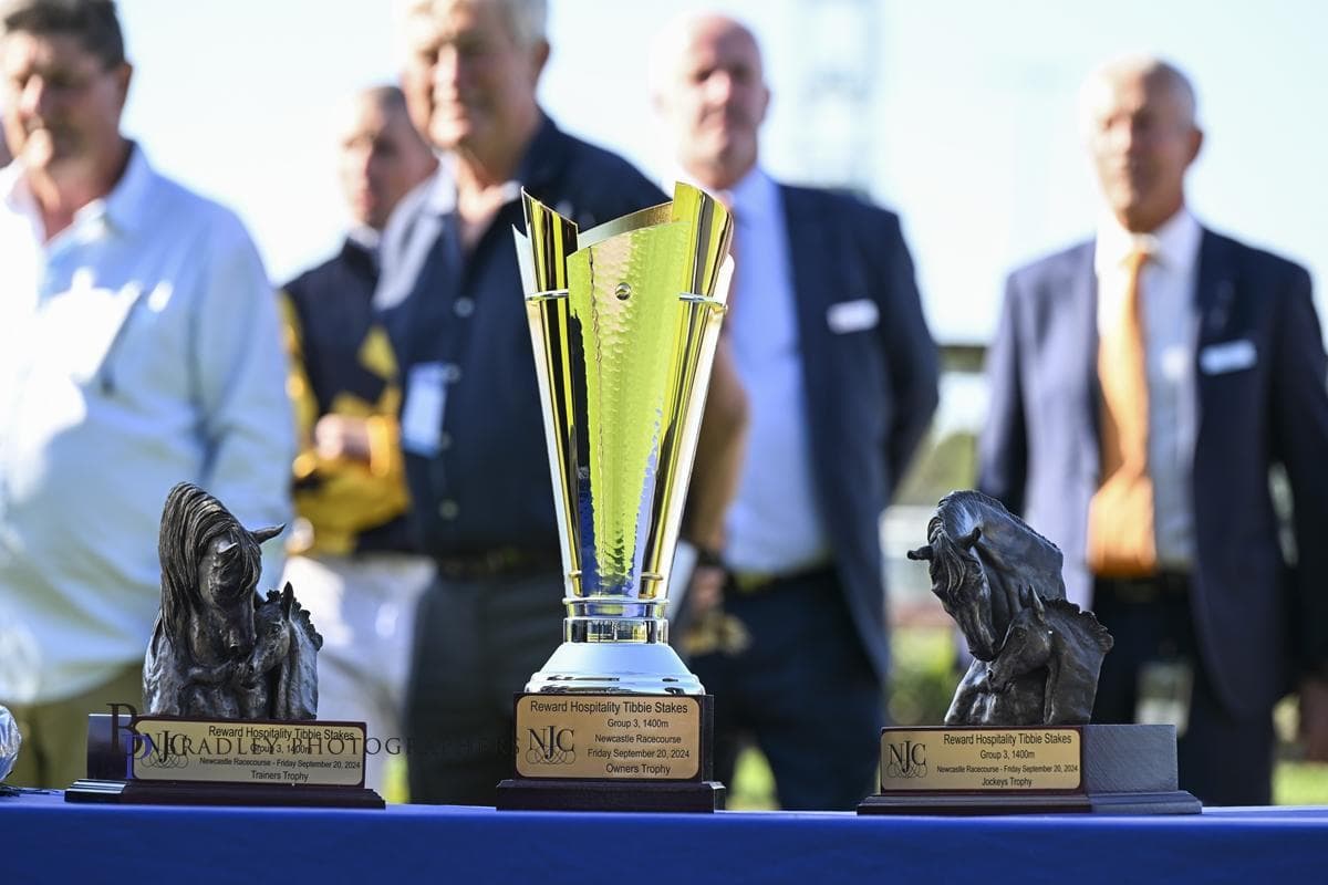 Picture of the author