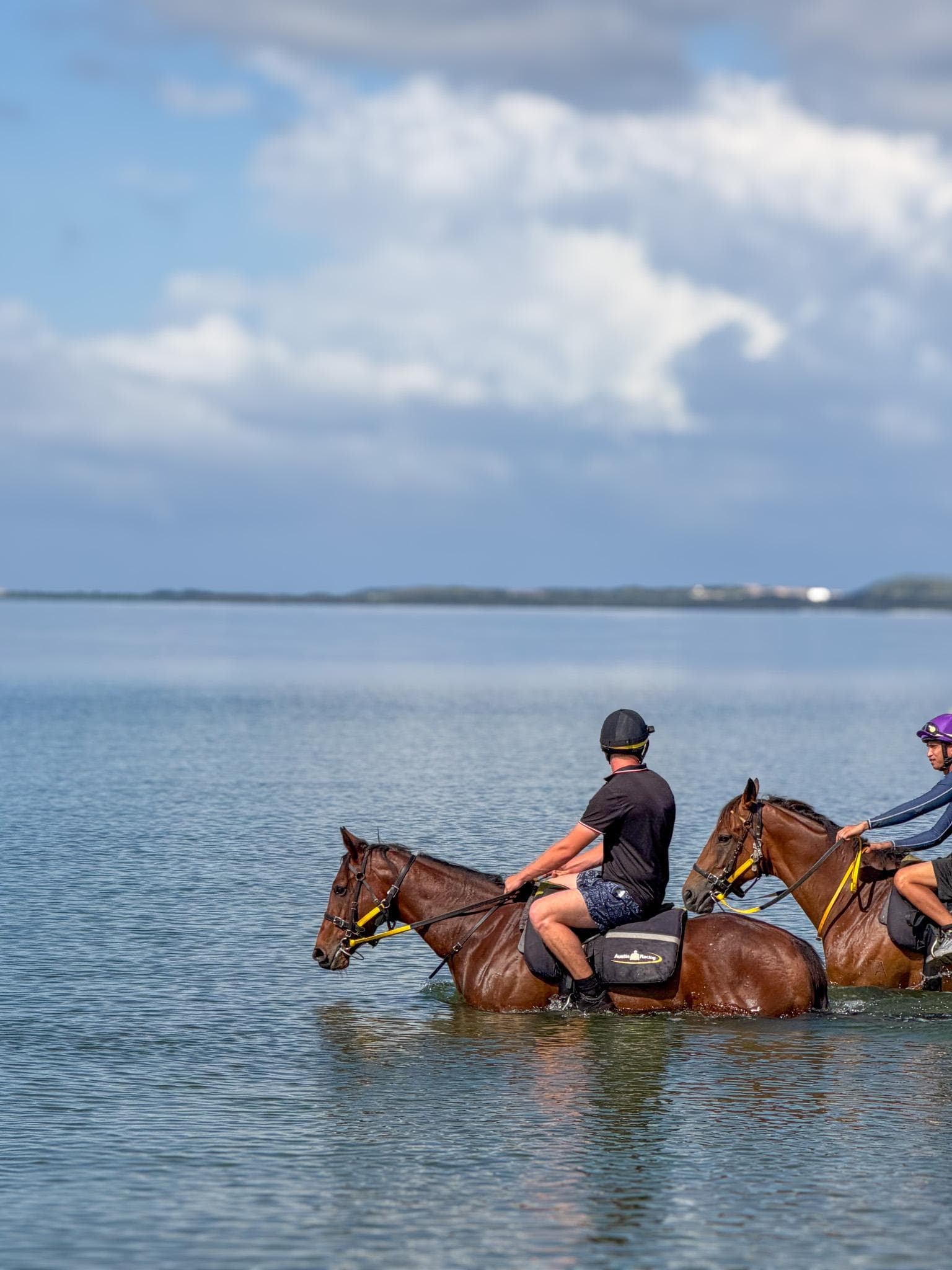 Picture of the author