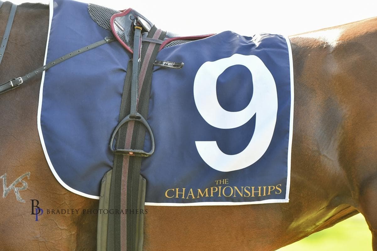 Picture of the author