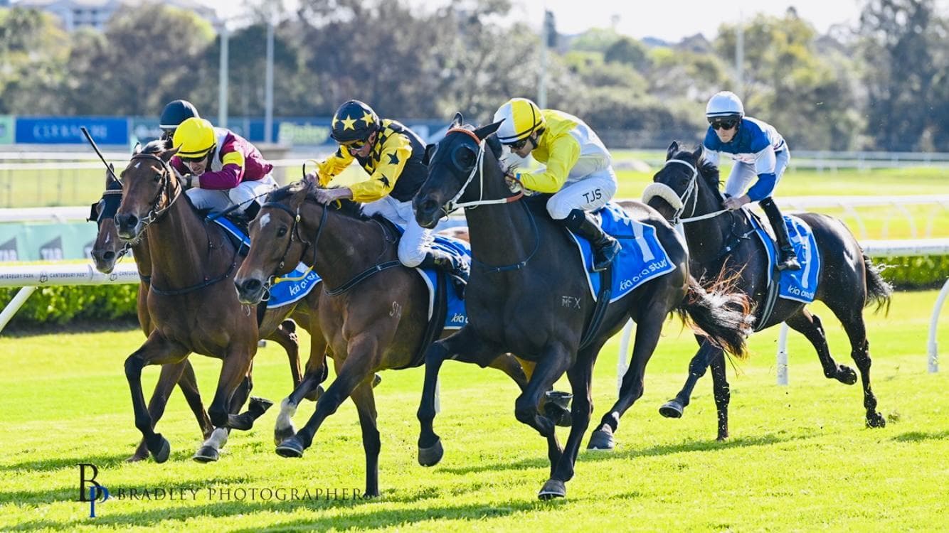 Picture of the author