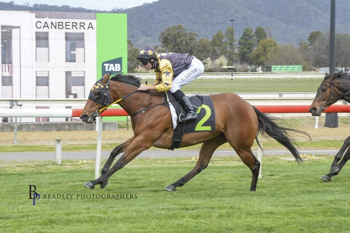 Picture of the author