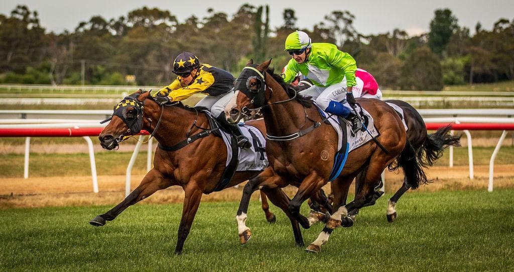 Picture of the author