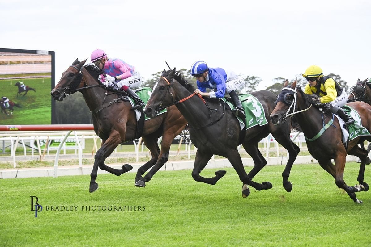 Picture of the author