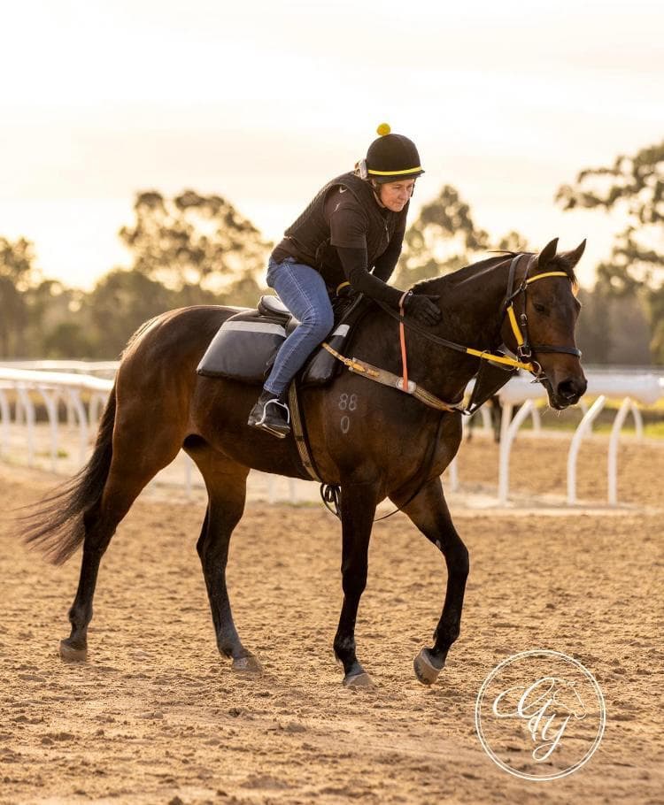 Picture of the author