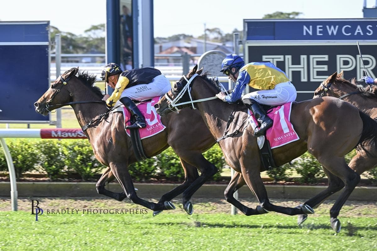 Picture of the author