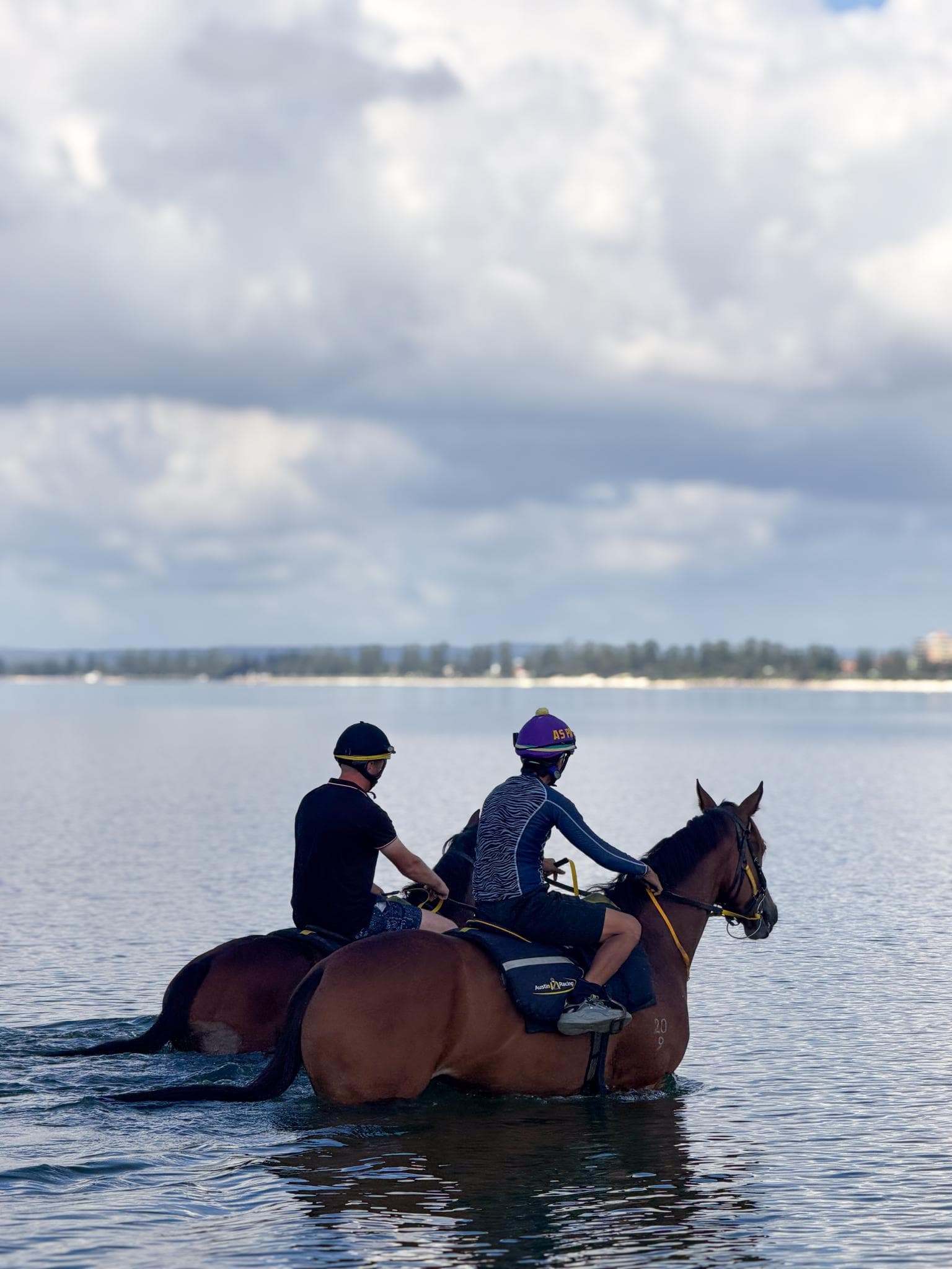 Picture of the author