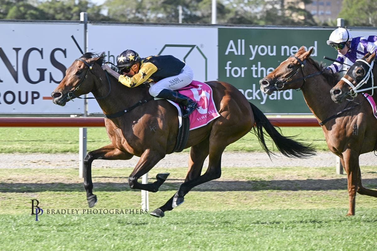 Picture of the author