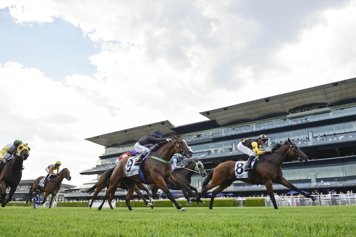 Picture of the author