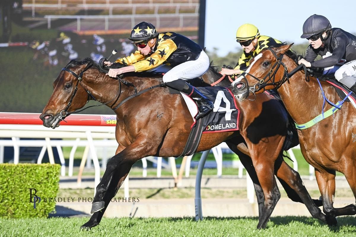 Picture of the author