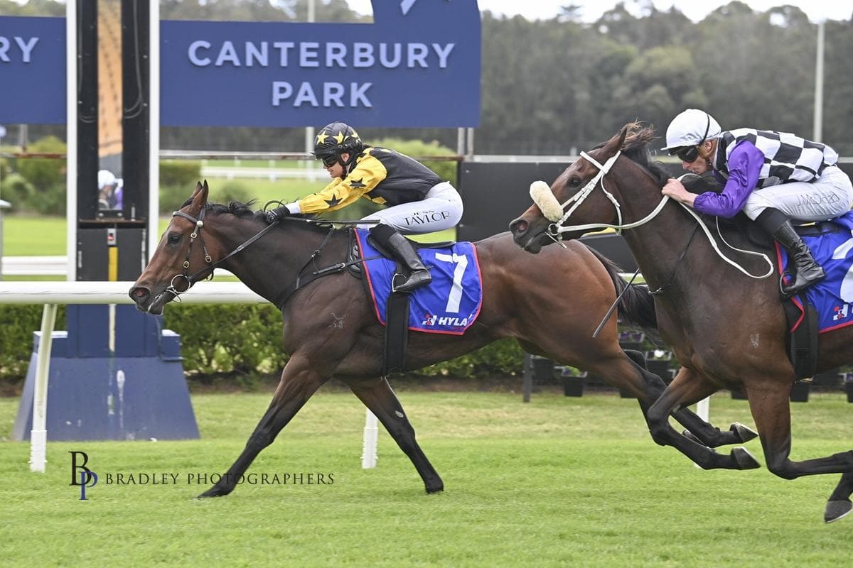 Picture of the author