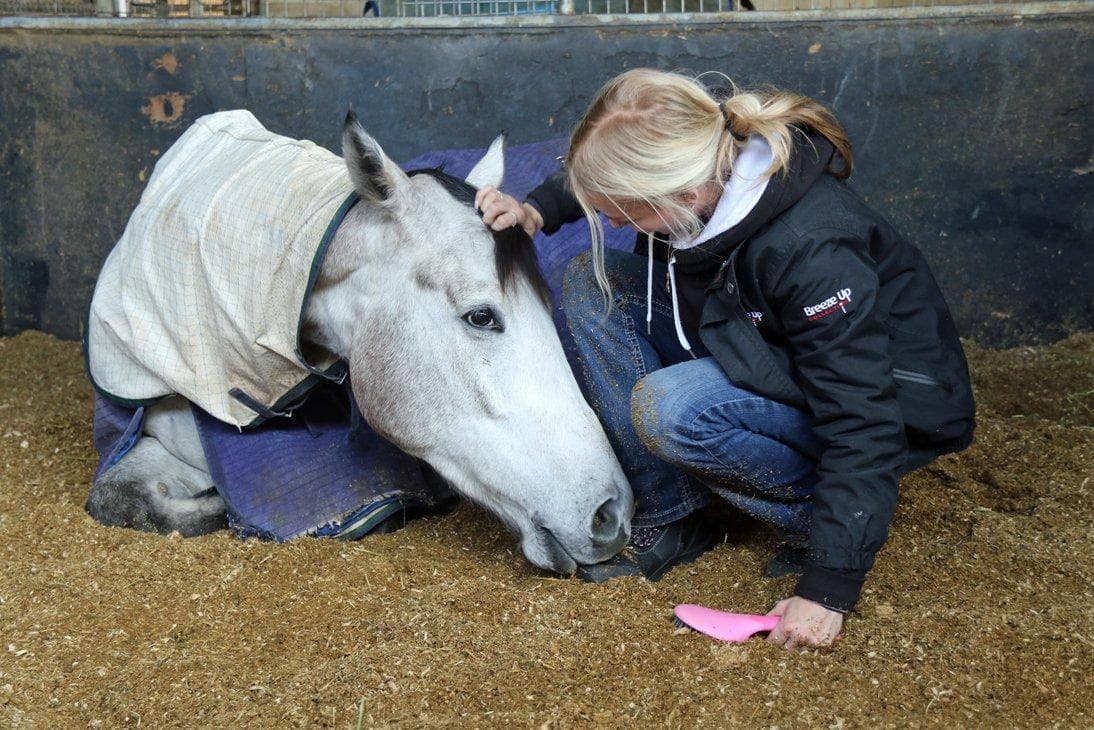 Picture of the author