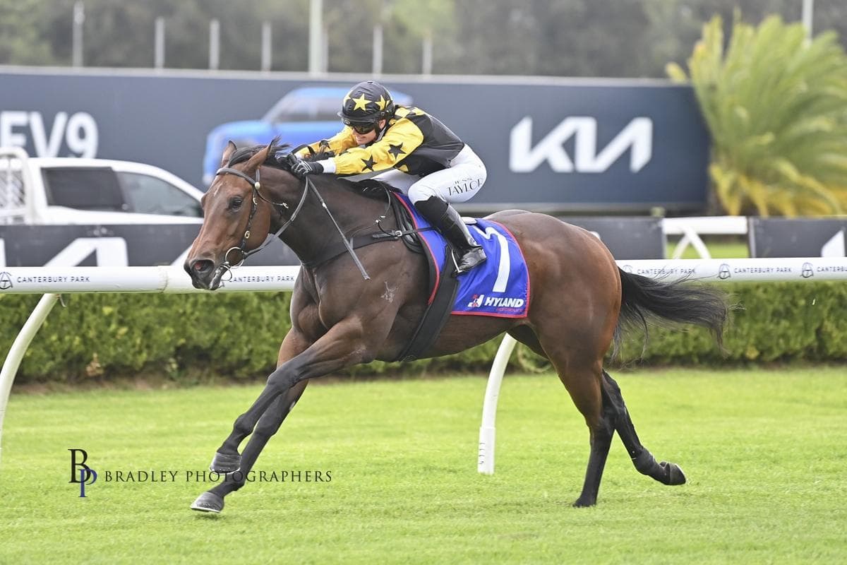 Picture of the author