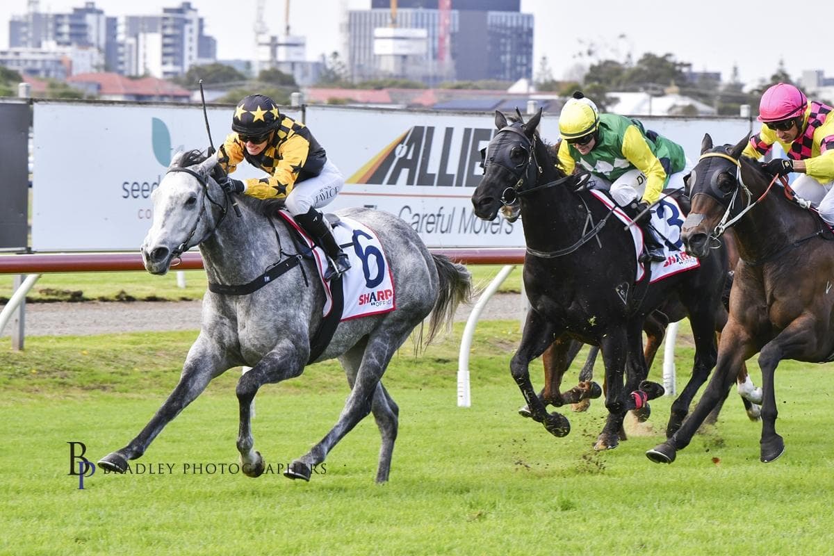 Picture of the author