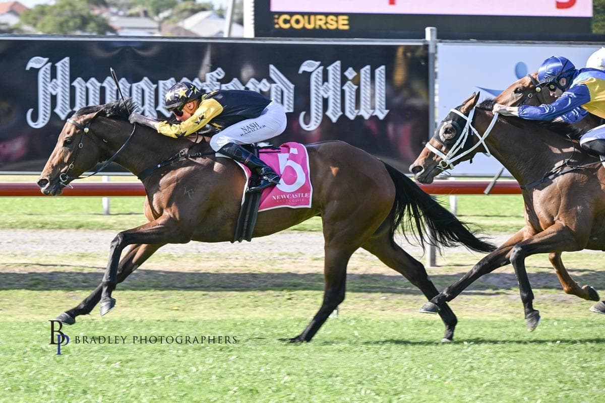 Picture of the author