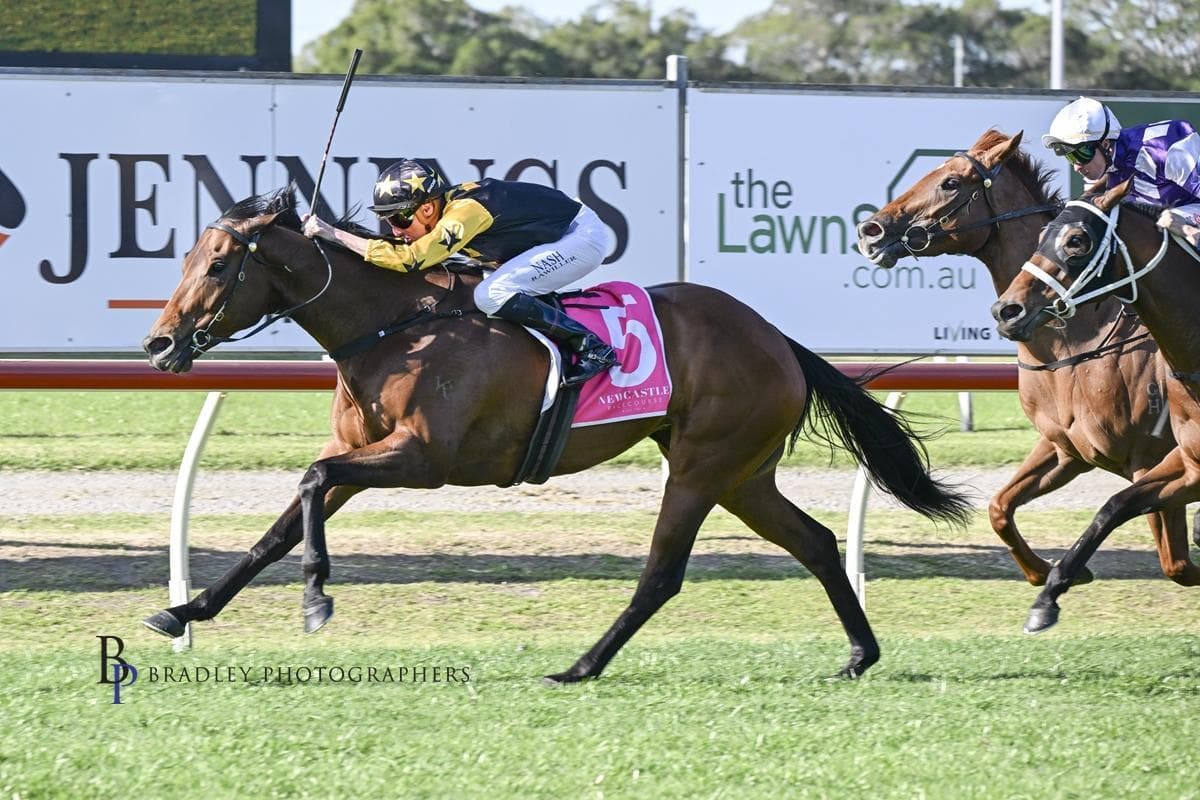 Picture of the author