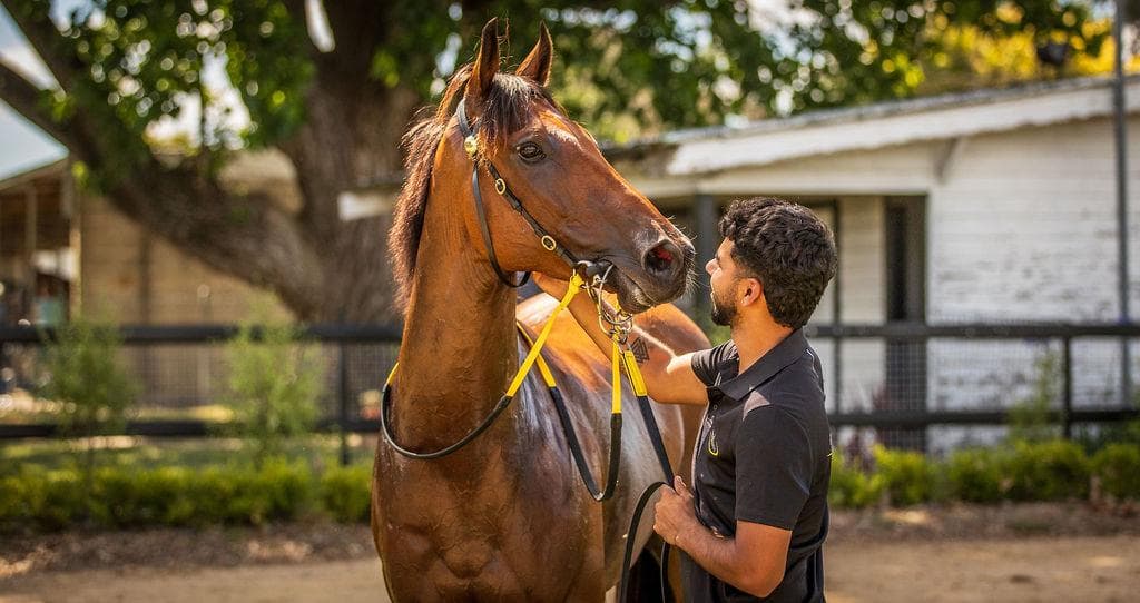 Picture of the author