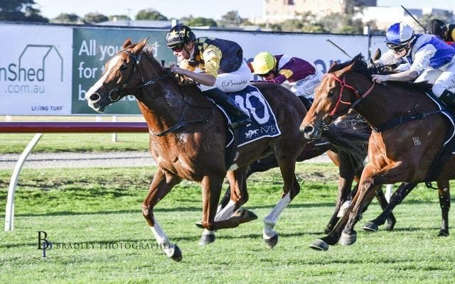 CULLIER Prevails at Newcastle